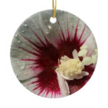 After the Rain Christmas Ornament