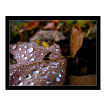 After the Rain posters