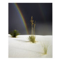 After the Rain posters by gust_front After the Rain posters