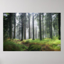 After the Rain Poster
