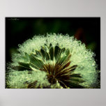 After the rain print