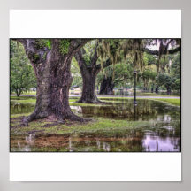 After the Rain Print