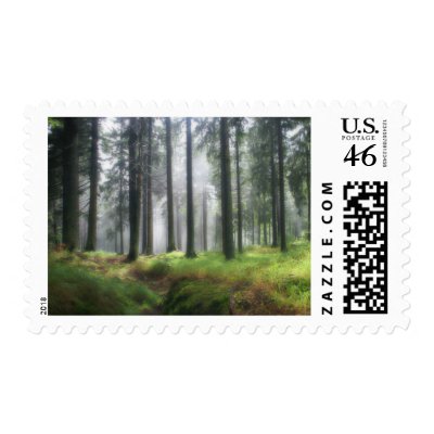 After the Rain Stamp by SabineSt