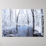 After the Snow Print