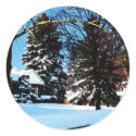 After the Snowstorm sticker
