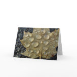 After the Storm Greeting Card