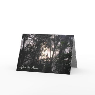 After the Storm - Greeting Card #1 card