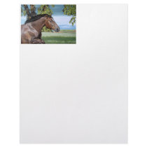 After the Storm Letterhead Template