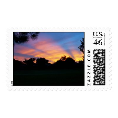 After the storm postage stamp by Eye4birds