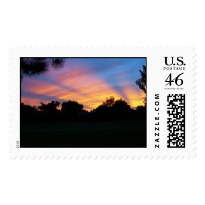 After the storm postage stamp by Eye4birds