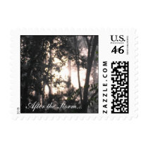 After the Storm - Postage #2