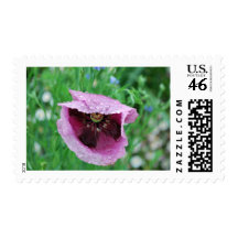 After the Storm Postage Stamp