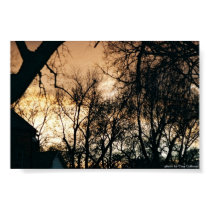 After the Storm posters
