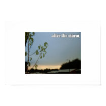 after the storm posters