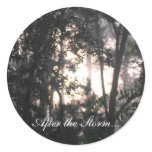 After the Storm - Sticker