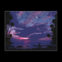 Afterglow (2009) Postcard