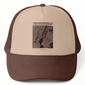 Aftermath Of September 11th World Trade Center hat