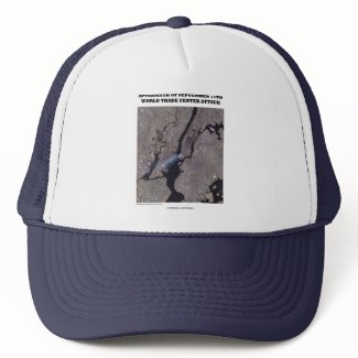 Aftermath Of September 11th World Trade Center hat