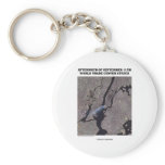 Aftermath Of September 11th World Trade Center Key Chain