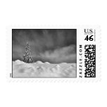 Aftermath Postage Stamps
