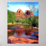 Afternoon Beauty Print