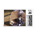 Afternoon Brilliance postage by codfishlady Afternoon Brilliance postage