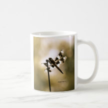 Afternoon Delight Coffee Mugs