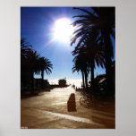 Afternoon In Hermosa Beach Print