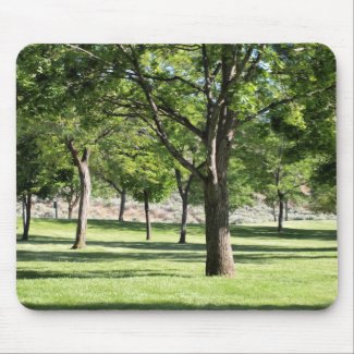 Afternoon in the Park mousepad