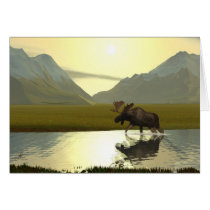 Afternoon Moose cards