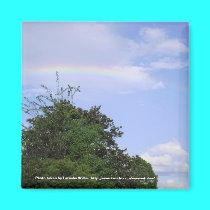 afternoon rainbow magnets
