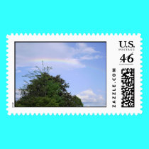 Afternoon Rainbow postage