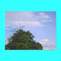 afternoon rainbow postcards