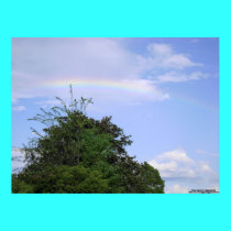 Afternoon Rainbow posters