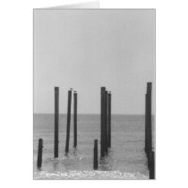 Afternoon Rest cards