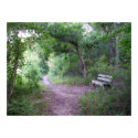 Afternoon shade in the forest posters by Shadowchaser Afternoon shade in the forest posters
