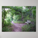 Afternoon shade in the forest print