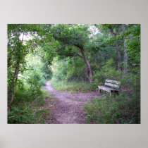 Afternoon shade in the forest print