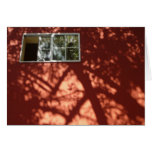 Afternoon Shadows Cards