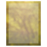 Afternoon Sunlight 1A Letterhead Design