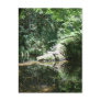 Afternoon Sunlight at Elk River at Headwaters Postcard