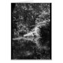 Afternoon Sunlight on the Elk River at Headwaters Card