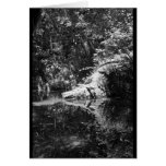 Afternoon Sunlight on the Elk River at Headwaters Greeting Card