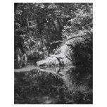 Afternoon Sunlight on the Elk River at Headwaters Personalized Flyer