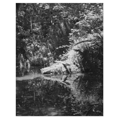 Afternoon Sunlight on the Elk River at Headwaters Letterhead Design by Erica_Jensen03