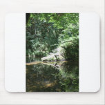 Afternoon Sunlight on the Elk River at Headwaters Mouse Pad