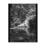 Afternoon Sunlight on the Elk River at Headwaters Post Card