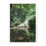 Afternoon Sunlight on the Elk River at Headwaters Post Cards