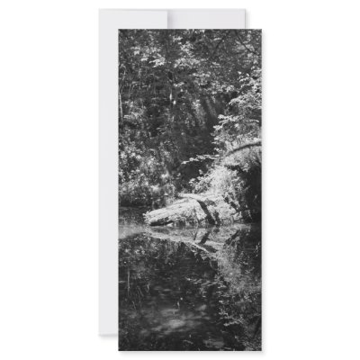 Afternoon Sunlight on the Elk River at Headwaters Full Color Rack Card by Erica_Jensen03
