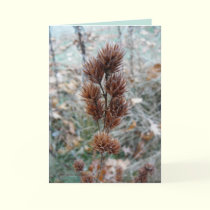 Afterward cards by MoiraAshleigh Afterward cards